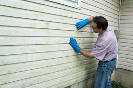 Trusted Cambria, IL Siding Installation Experts